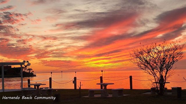 Lot 1 FLEXER DRIVE, Hernando Beach, FL 34607