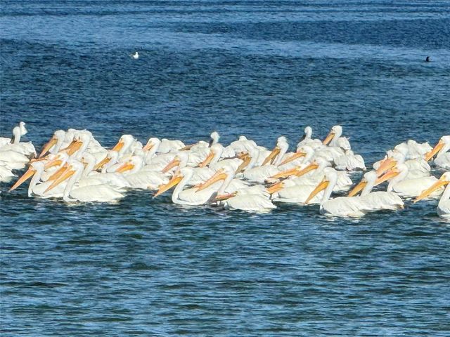 Lot 1 FLEXER DRIVE, Hernando Beach, FL 34607