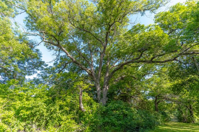 400 W Oak Street, Mansfield, TX 76063