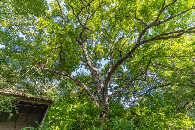 400 W Oak Street, Mansfield, TX 76063