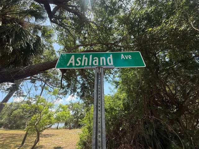 1105 ASHLAND, Tarpon Springs, FL 34689