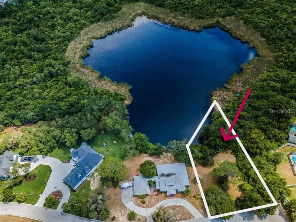 1105 ASHLAND, Tarpon Springs, FL 34689