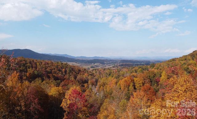 71 View Ridge Parkway, Leicester, NC 28748