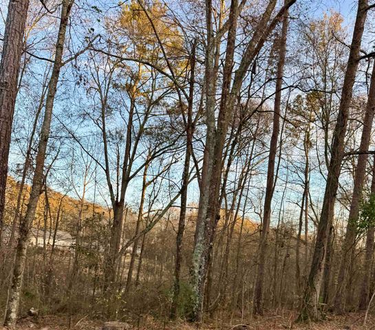 0 Old Furnace Rd, Boiling Springs, SC 29316