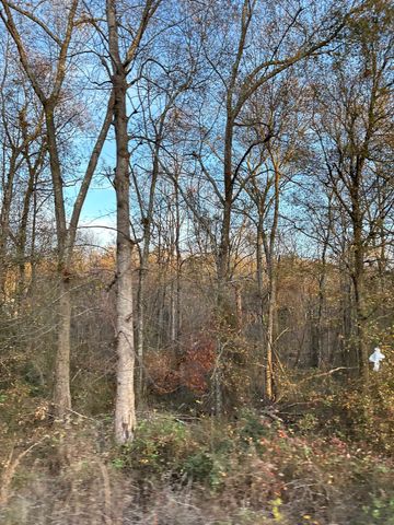 0 Old Furnace Rd, Boiling Springs, SC 29316