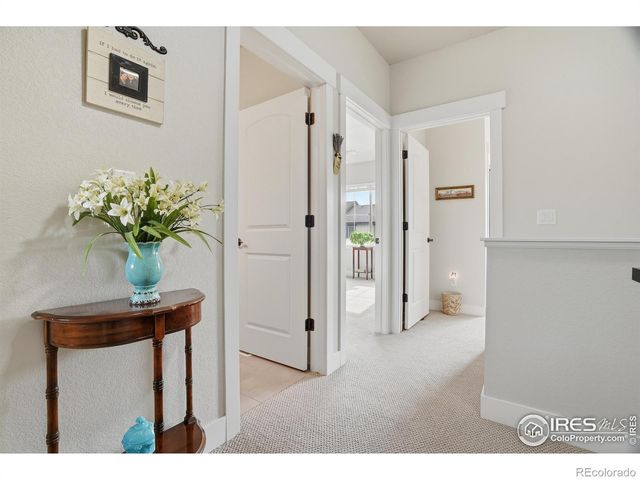 6328 Pumpkin Ridge Drive 1, Windsor, CO 80550