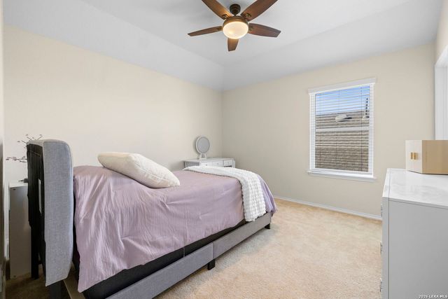 2182 Indigobush Drive, New Braunfels, TX 78132