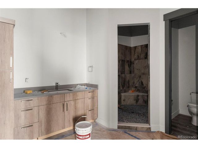 1536 King Mick Ct, Castle Rock, CO 80104