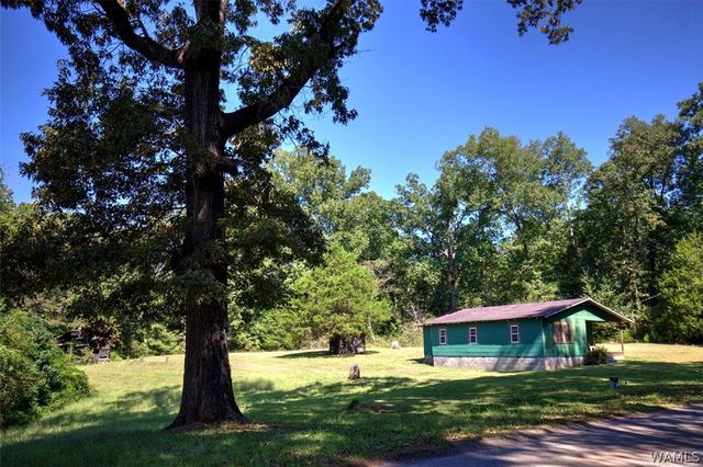 7880 Lake Judson, Cottondale, AL 35453