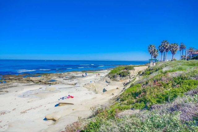 245 Coast D2, La Jolla, CA 92037
