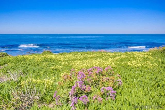 245 Coast D2, La Jolla, CA 92037
