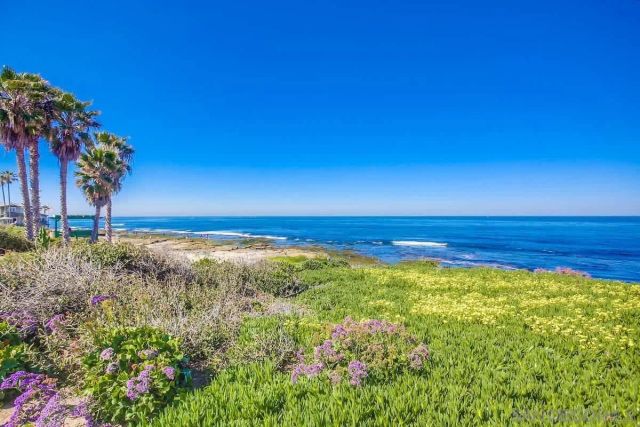 245 Coast D2, La Jolla, CA 92037