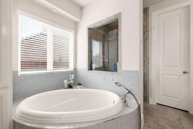 3909 Lupin Bush Lane, Manvel, TX 77578