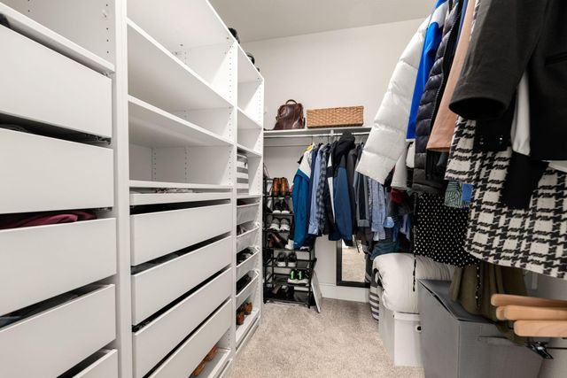 3909 Lupin Bush Lane, Manvel, TX 77578