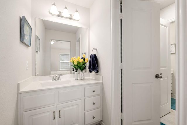 3909 Lupin Bush Lane, Manvel, TX 77578