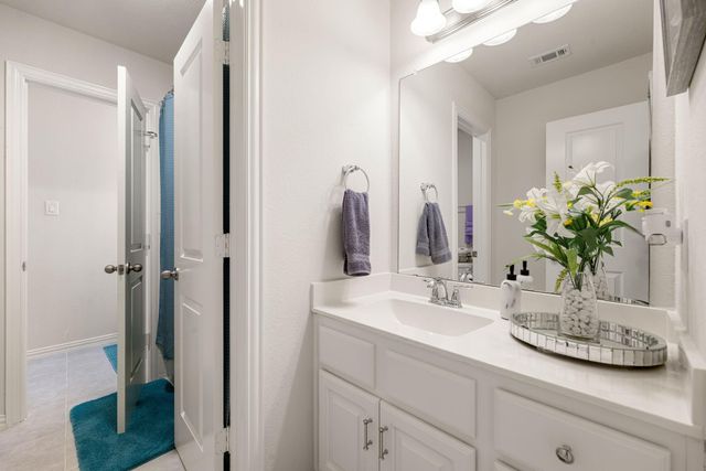 3909 Lupin Bush Lane, Manvel, TX 77578