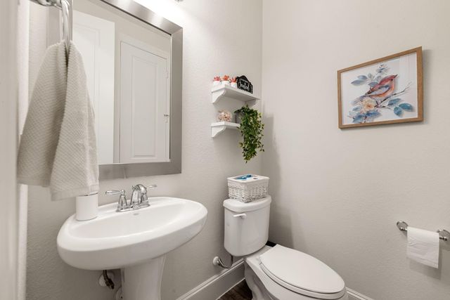 3909 Lupin Bush Lane, Manvel, TX 77578