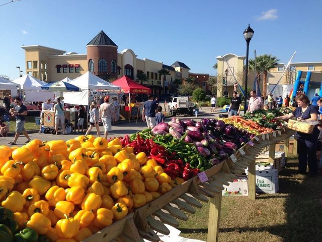 10023 TATE LANE, Tampa, FL 33626