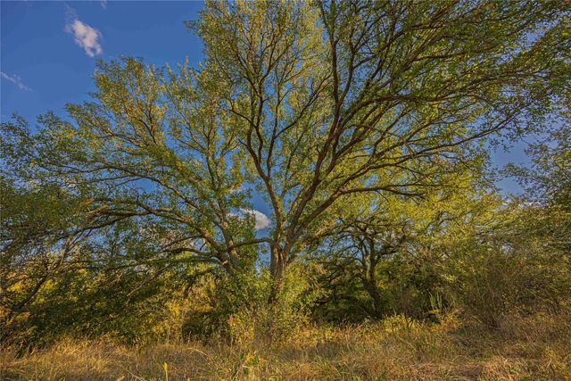 10579 PRIVATE ROAD 3151, Moran, TX 76464