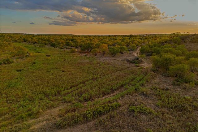 10579 PRIVATE ROAD 3151, Moran, TX 76464