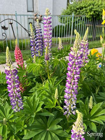 6007 E 6th W9 Ave, Spokane Valley, WA 99212