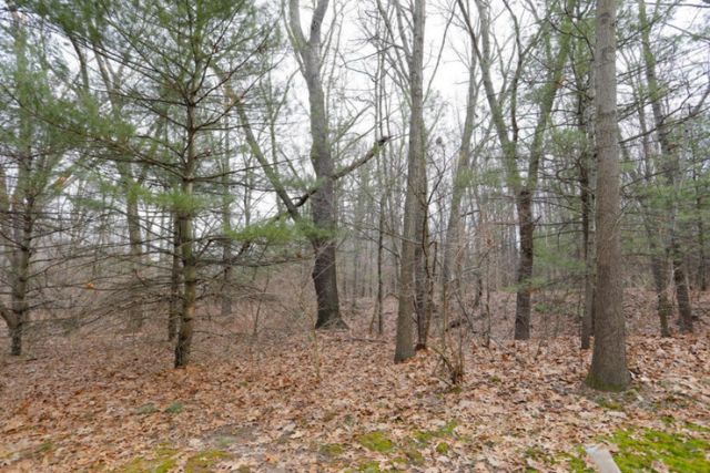 5093 Grand Arbre Trail, Portage, MI 49024