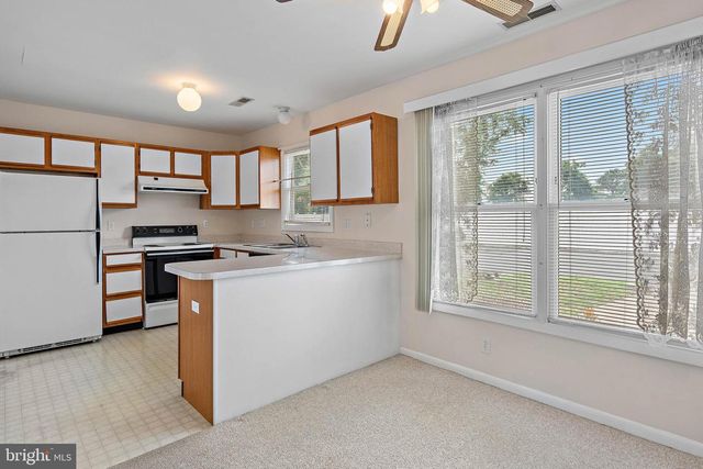 247 MAGNOLIA DR, Millsboro, DE 19966