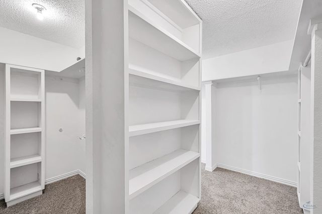 3908 W County Rd 145, Midland, TX 79706