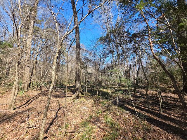 TBD Fm 156, Coldspring, TX 77331