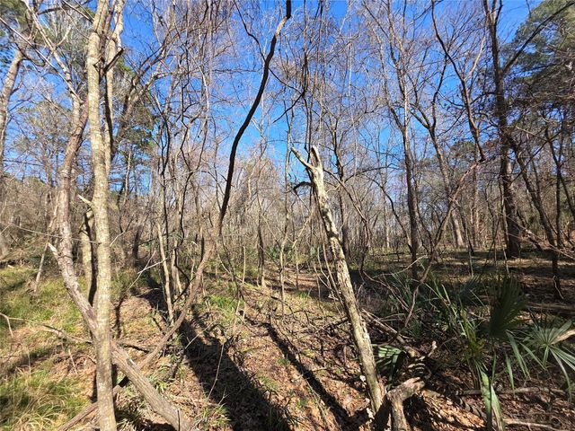 TBD Fm 156, Coldspring, TX 77331