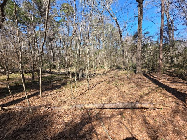 TBD Fm 156, Coldspring, TX 77331