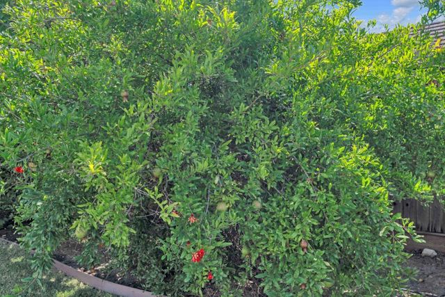 190 Fennel Court, Morgan Hill, CA 95037