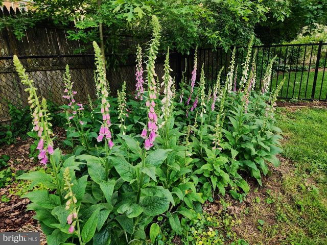 905 HEATHDALE LN, Media, PA 19063