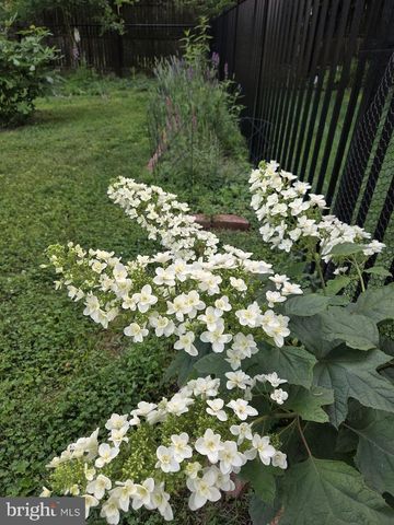 905 HEATHDALE LN, Media, PA 19063