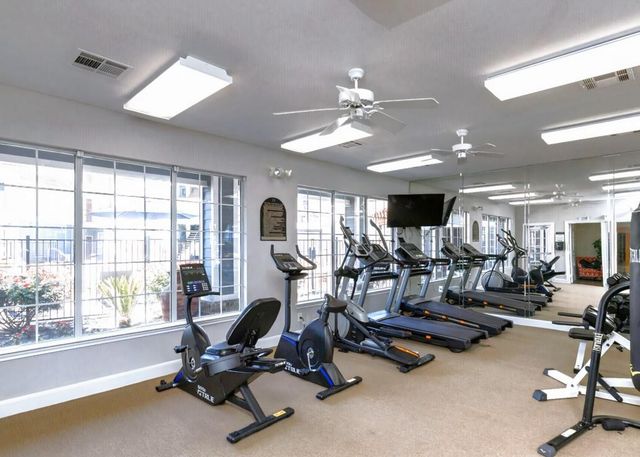 17111 Hafer Road 1133, Houston, TX 77090