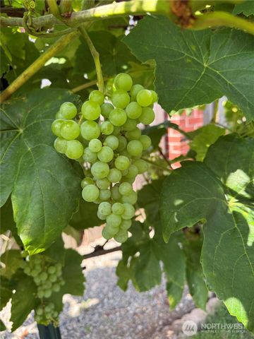 1057 Cascade Lane, Camano Island, WA 98282