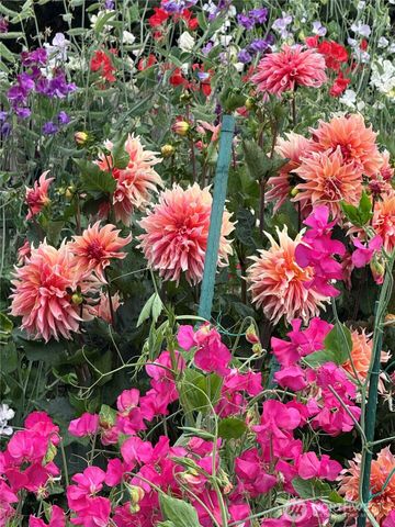 1057 Cascade Lane, Camano Island, WA 98282