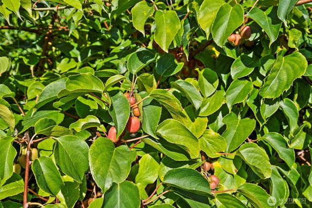 8400 Old Highway 99 SE, Tumwater, WA 98501