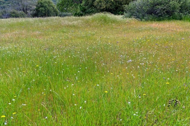 12105 Shepard Rd, Smartsville, CA 95977