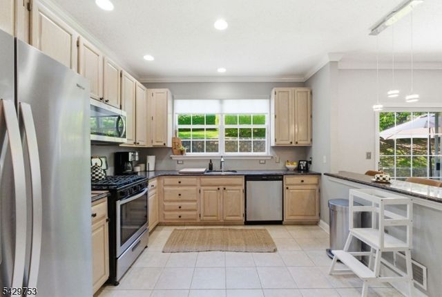 16 Timothy Ct, Morris Twp., NJ 07960