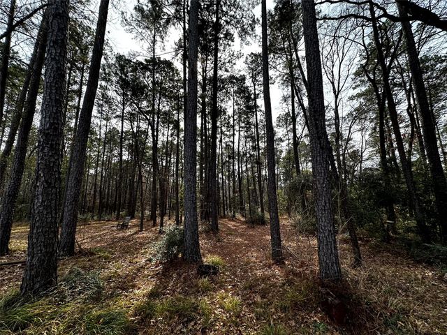 290 Over The Hill Road, Point Blank, TX 77364