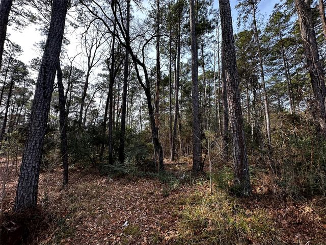 290 Over The Hill Road, Point Blank, TX 77364