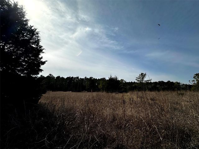 290 Over The Hill Road, Point Blank, TX 77364