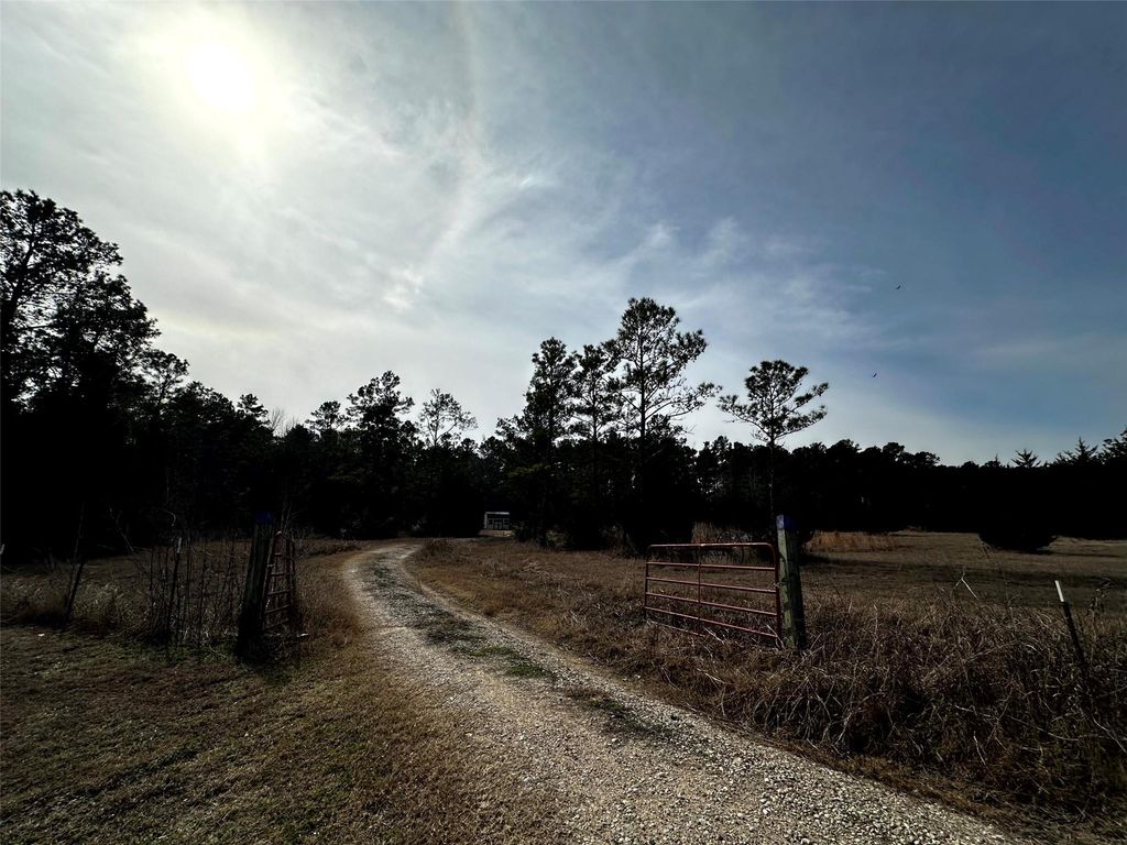 290 Over The Hill Road, Point Blank, TX 77364