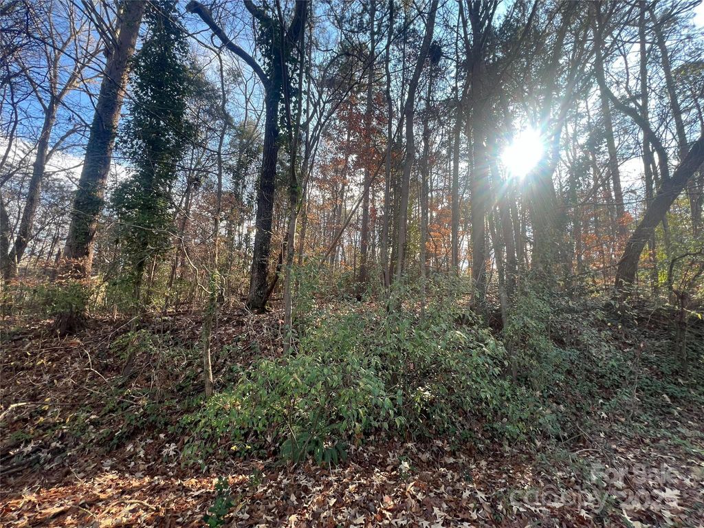 5011 Dorothy Ruth Lane, Belmont, NC 28012