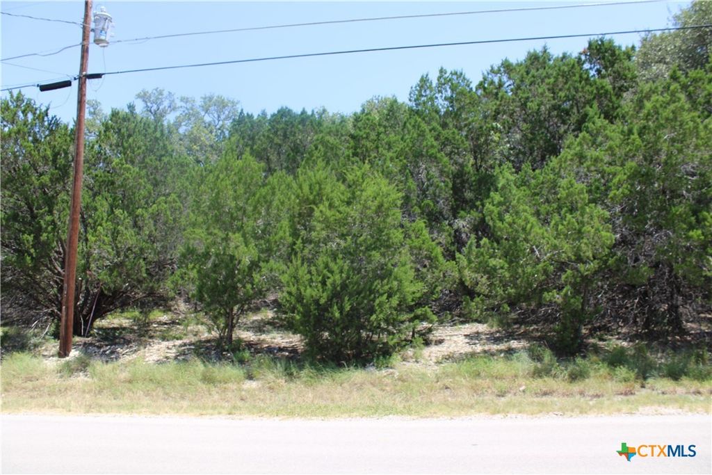 1105 Rotherman, Canyon Lake, TX 78133