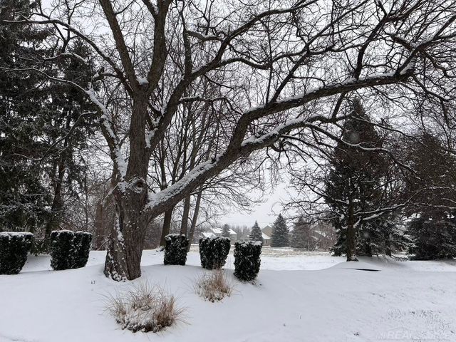 44666 Connecticut Court, Clinton Township, MI 48038