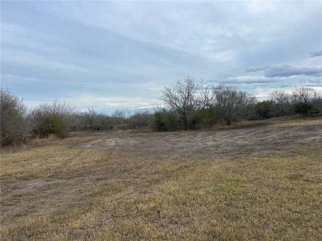 318 County Road 3032, Orange Grove, TX 78372