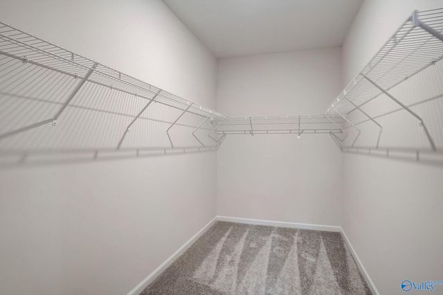 1124 Tanger Glen Trail, Harvest, AL 35749