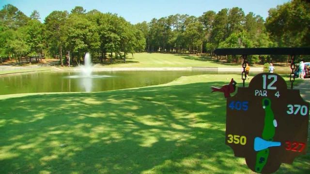 178 Butternut Glen, Holly Lake Ranch, TX 75765